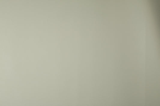 Feines Lederimitat in Champagner