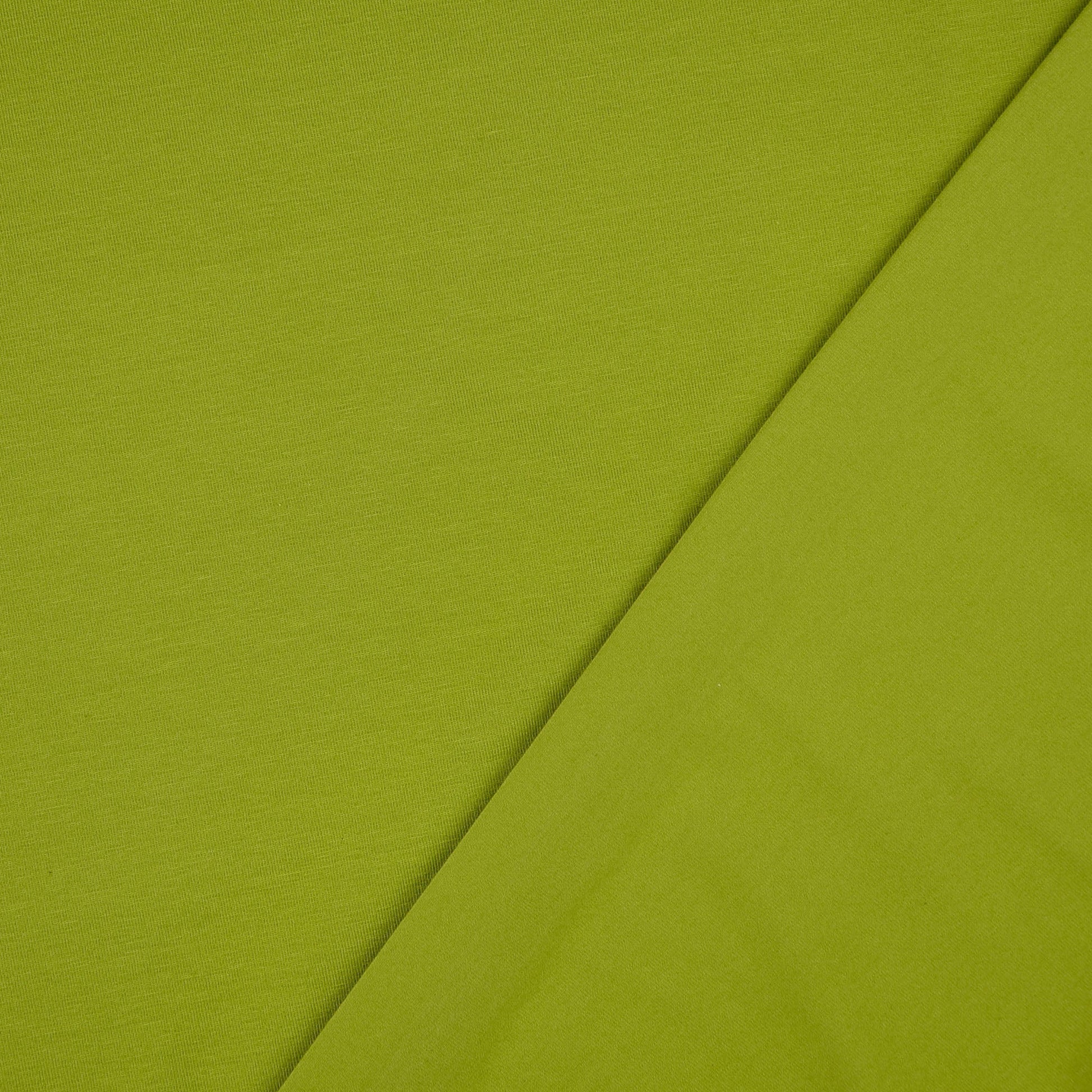 Baumwolljersey Olivgrün – Rolle